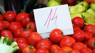 Image 1199885 (auto)