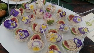 Poljičke vile i erotska poezija – otvorena “Gastro smokva”!