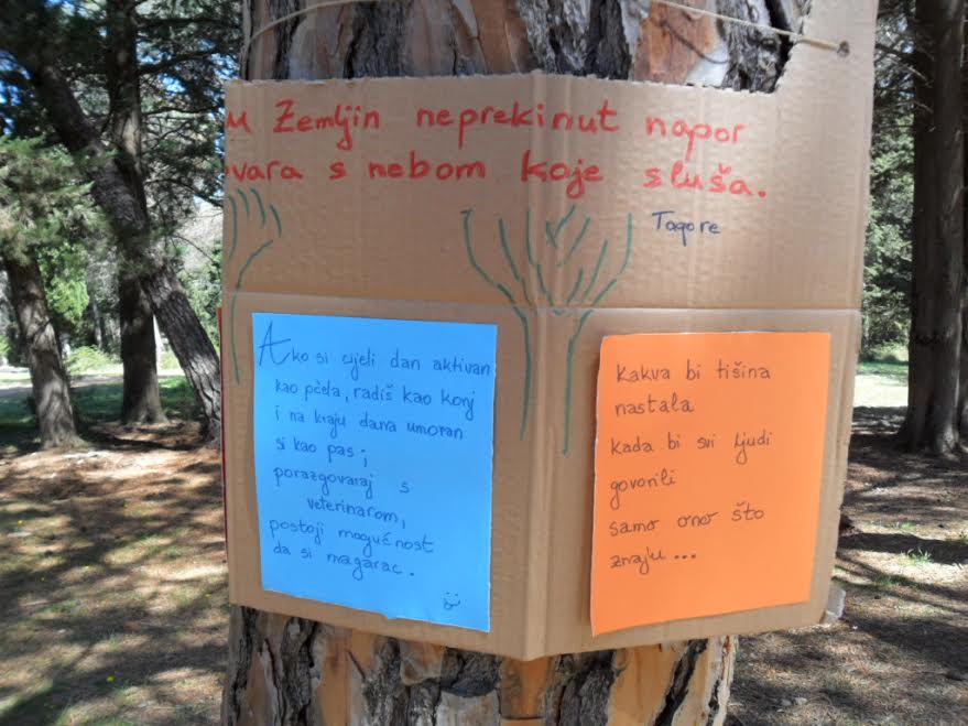 “Zelena čistka”: Musapstan “lakši” za 3 tone otpada!