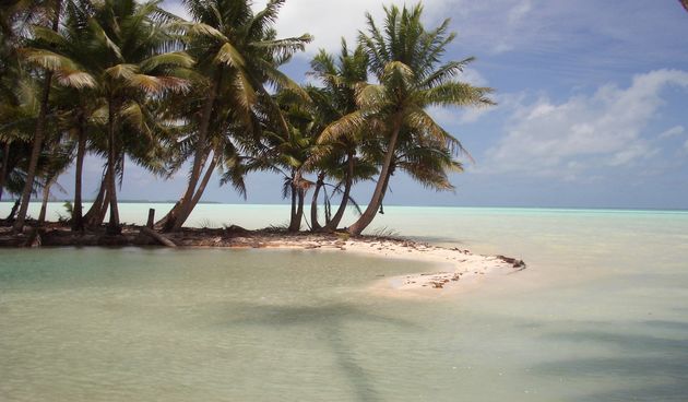 Kiribati (Foto: whiteholly.org)