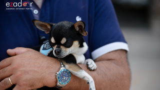 Đir po gradu, subotnja špica 22. lipnja 2019. Đir po gradu, subotnja špica 22. lipnja 2019.