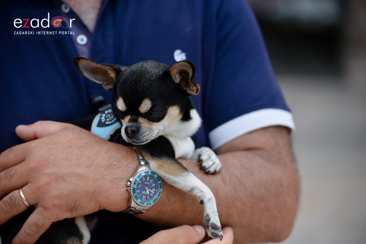 Đir po gradu, subotnja špica 22. lipnja 2019. Đir po gradu, subotnja špica 22. lipnja 2019.