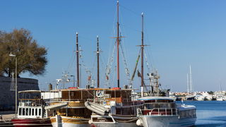 Đir po gradu 29. studenog 2016.