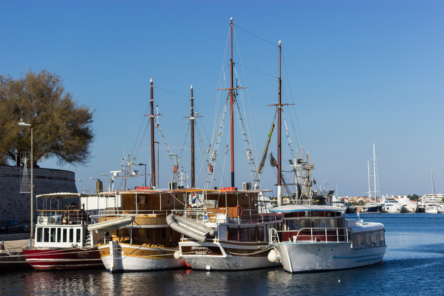 Đir po gradu 29. studenog 2016.