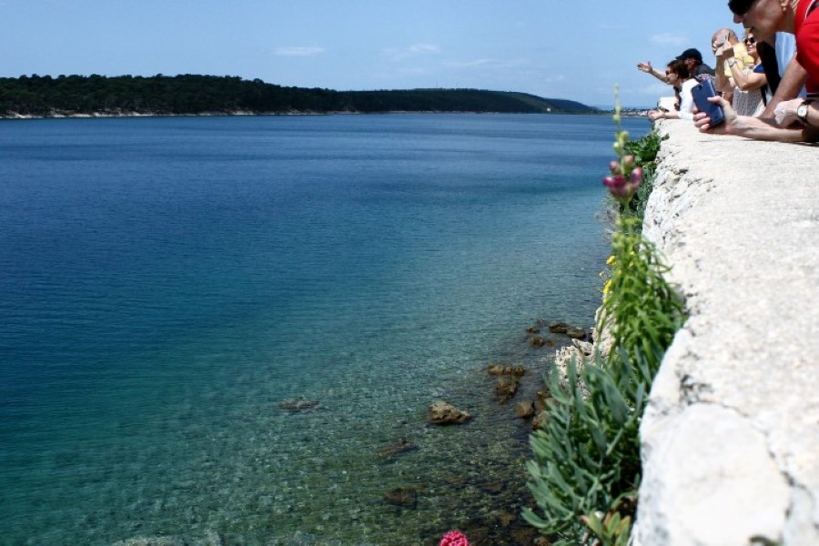 Đir p Rabu Đir p Rabu