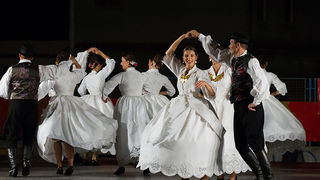 Bibinje: Nastup ansambla Lado, foto: Leo Banić