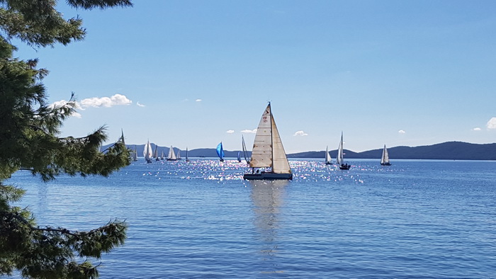 Zadarska Koka 2016. 22. listopada 2016. Foto: Mladen Malik Zadarska Koka 2016. 22. listopada 2016. Foto: Mladen Malik
