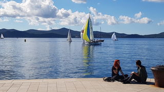 Zadarska Koka 2016. 22. listopada 2016. Foto: Mladen Malik Zadarska Koka 2016. 22. listopada 2016. Foto: Mladen Malik