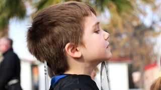 Virski karnevalić 2016. Virski karnevalić 2016.