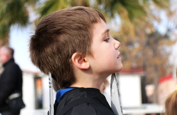 Virski karnevalić 2016. Virski karnevalić 2016.