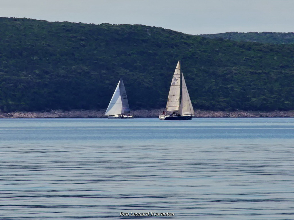 Image 441299 (auto) Image 441299 (auto)