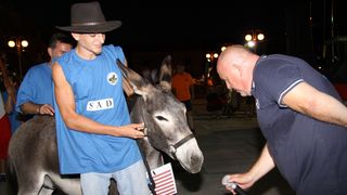 Tisno: 6. Međunarona “Trka tovarov”, Foto: Edin Kadić Tisno: 6. Međunarona “Trka tovarov”, Foto: Edin Kadić