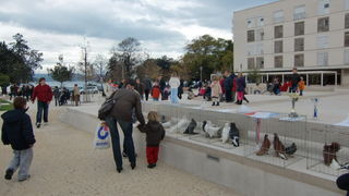 Izložba golubova na Poljani Ivana Pavla II. Izložba golubova na Poljani Ivana Pavla II.