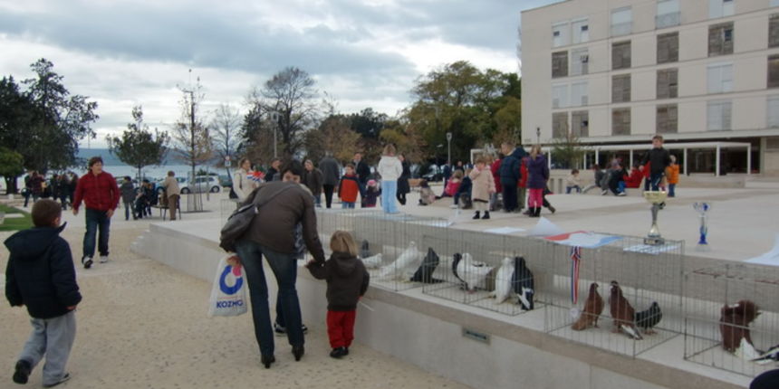 Izložba golubova na Poljani Ivana Pavla II.