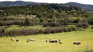 4. planinarski pohod “Hajdemo do Vrane” u organizaciji PD Belveder