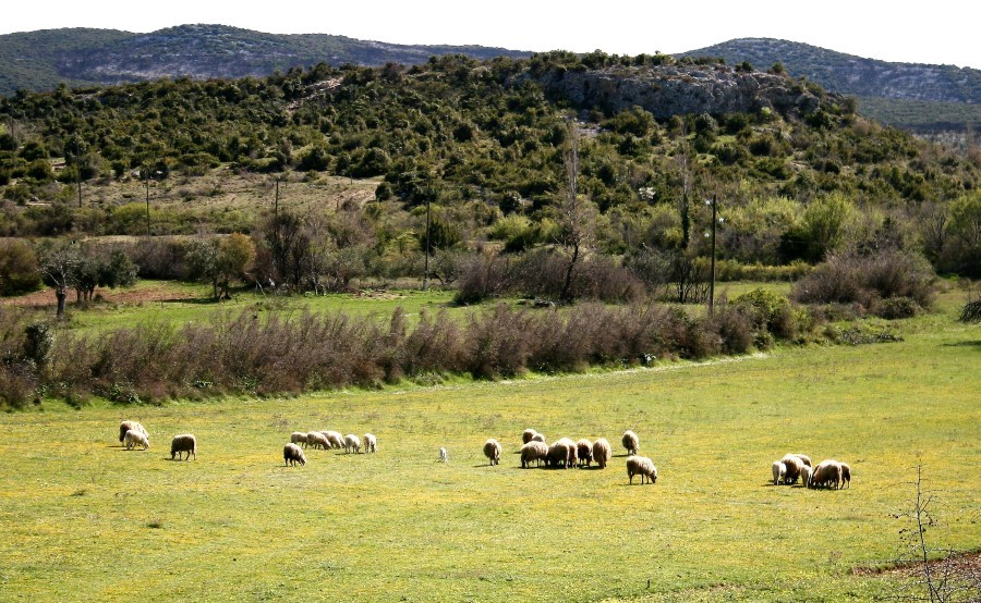 4. planinarski pohod “Hajdemo do Vrane” u organizaciji PD Belveder