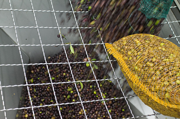 Večer u uljari, Foto: Leo Banić