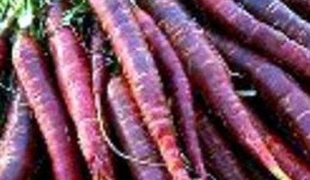 Koliko je uopće zdrava ljubičasta dijeta, foto: barkun. hr