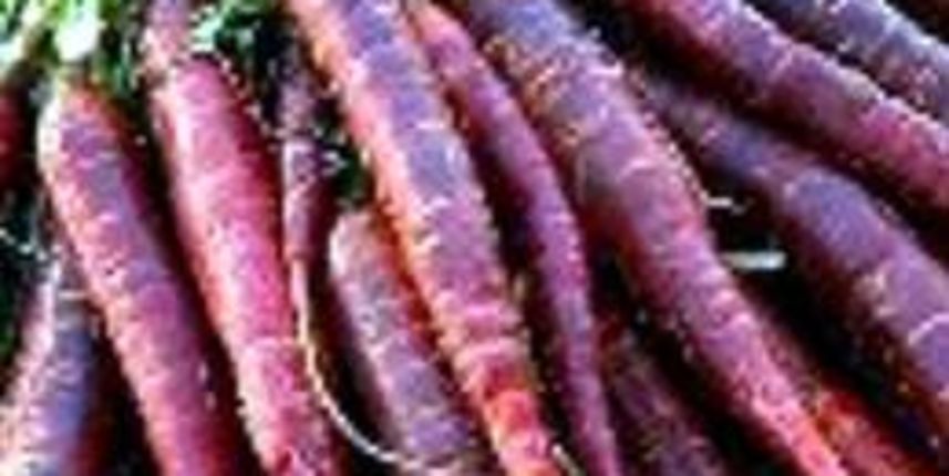 Koliko je uopće zdrava ljubičasta dijeta, foto: barkun. hr Koliko je uopće zdrava ljubičasta dijeta, foto: barkun. hr