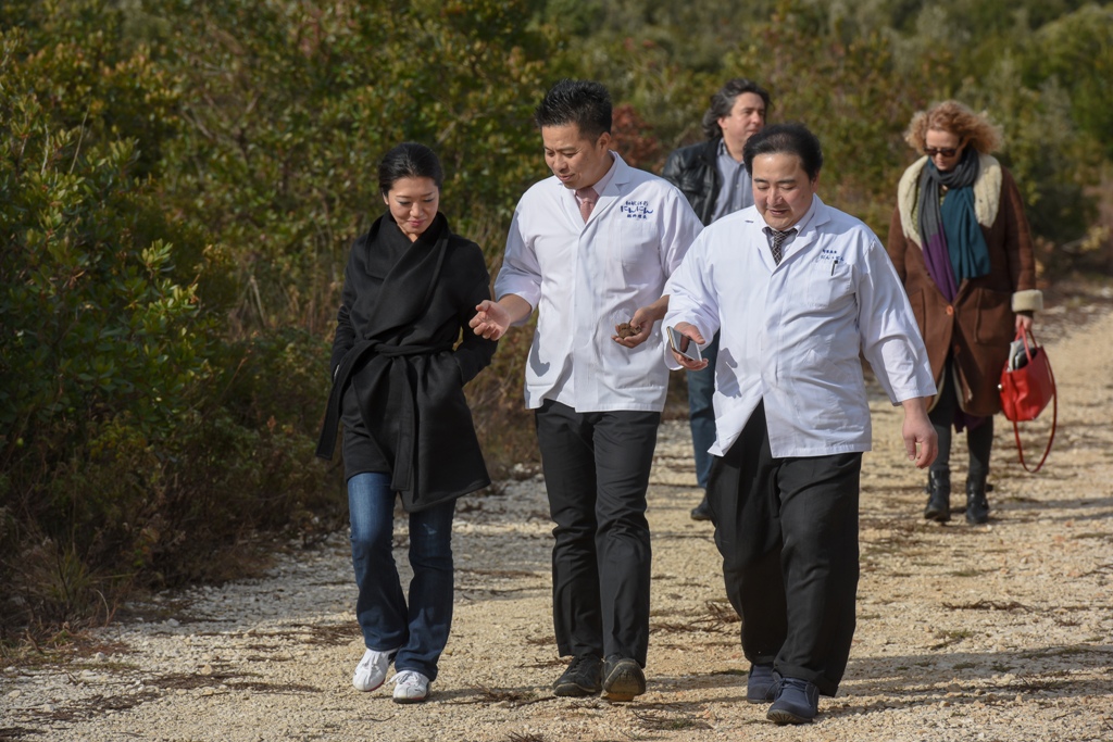 Tuna, sushi and wine festival: Ručak u Kraljevskim vinogradima Tuna, sushi and wine festival: Ručak u Kraljevskim vinogradima