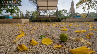 Đir po maglovitom gradu 16. listopada 2017. Đir po maglovitom gradu 16. listopada 2017.