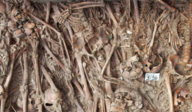 Image 1205469 (auto)