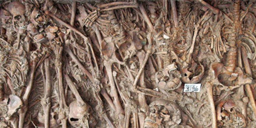 Image 1205469 (auto) Image 1205469 (auto)