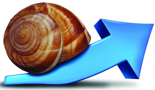 Slow Business Growth