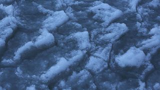 Šetnja po zaleđenom i bajkovitim Vranskim jezerom Šetnja po zaleđenom i bajkovitim Vranskim jezerom