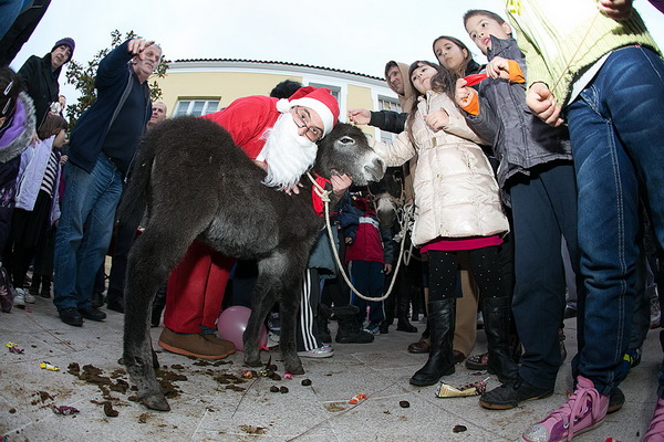 Sveta Luce u Bibinjama 13. prosinca 2013.  Foto: Leo Banić