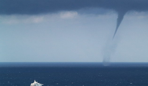 Daniel Pavlinovic, Pijavica