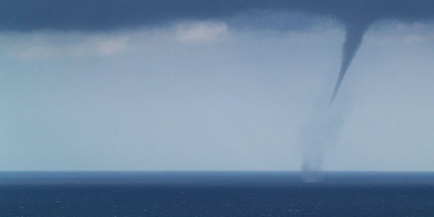 Daniel Pavlinovic, Pijavica Daniel Pavlinovic, Pijavica