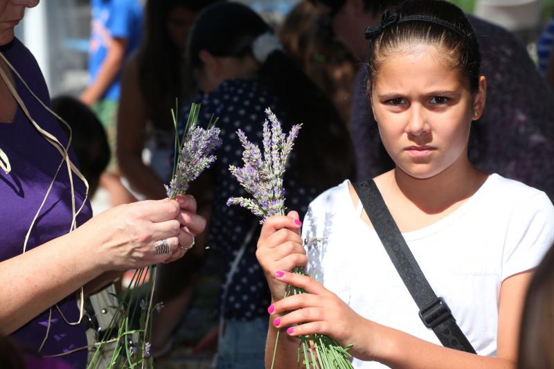 03.07.2013., Zadar – Na djecjem odjelu u dvoristu Gradske knjiznice Zadar djeca izradjuju strucke i jastucice od lavande. Radionicu vodi gospodja Jadranka Plantak. Photo: Zeljko Mrsic/PIXSELL 03.07.2013., Zadar – Na djecjem odjelu u dvoristu Gradske knjiznice Zadar djeca izradjuju strucke i jastucice od lavande. Radionicu vodi gospodja Jadranka Plantak. Photo: Zeljko Mrsic/PIXSELL