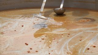 Velika prvosvibanjska fešta na Viru Velika prvosvibanjska fešta na Viru