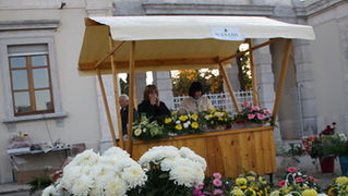 Gradsko groblje u Zadru u susret blagdanu Svih svetih