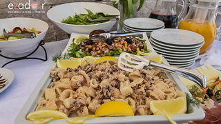 Maškovića han: Započeli Dani otvorenih vrata agroturizma Zadarske županije Maškovića han: Započeli Dani otvorenih vrata agroturizma Zadarske županije