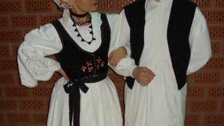 Folklorna manifestacija u Novigradu Podravskom