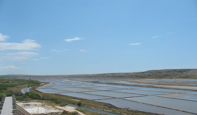 Image 1200229 (auto)