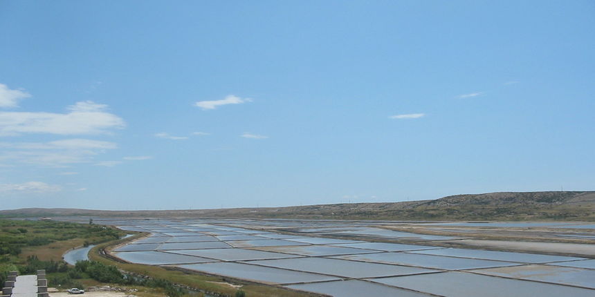 Image 1200229 (auto)