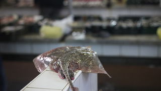 Đir po pešakariji 24. veljače 2012, Foto. Saša Čuka Đir po pešakariji 24. veljače 2012, Foto. Saša Čuka