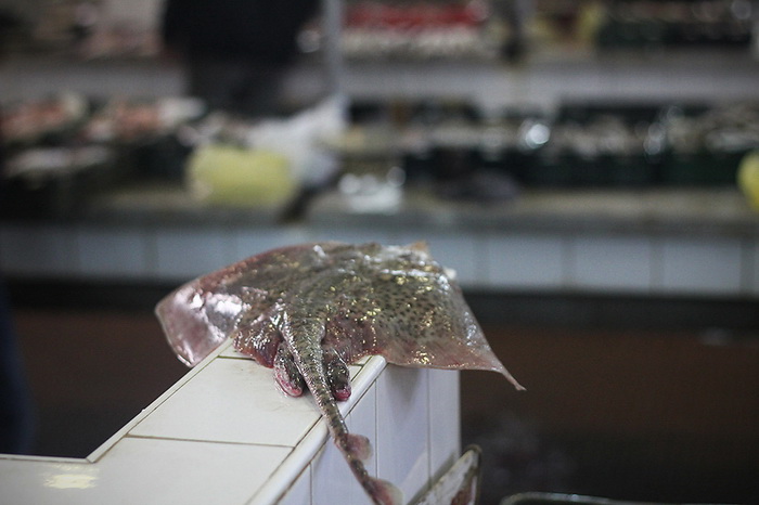 Đir po pešakariji 24. veljače 2012, Foto. Saša Čuka Đir po pešakariji 24. veljače 2012, Foto. Saša Čuka