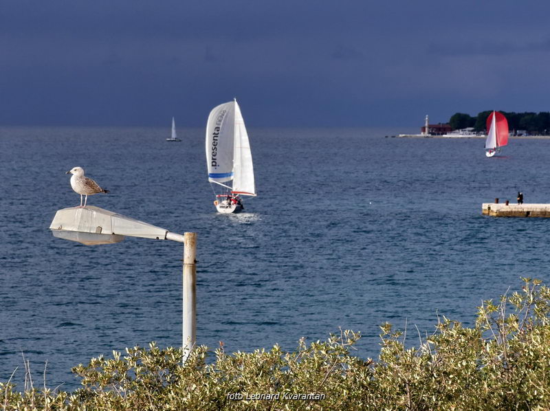 Regata Biograd Zadar Regata Biograd Zadar