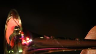 17.07.2013., Zadar – Na Poljani Sime Budinica odrzan je koncert Simon Marlowa i Jazz orkestra HRT-a. Photo: Filip Brala/PIXSELL 17.07.2013., Zadar – Na Poljani Sime Budinica odrzan je koncert Simon Marlowa i Jazz orkestra HRT-a. Photo: Filip Brala/PIXSELL