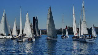 “Zadarska koka”: Regata za sve generacije snimljena iz “koke” “Zadarska koka”: Regata za sve generacije snimljena iz “koke”