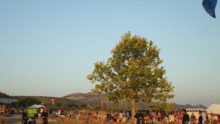 Dani vitezova vranskih, 19. srpnja 2014.