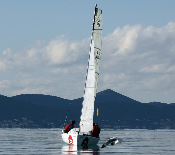 Sukosan: U uvali Zlatna luka odrzan je prvi dan dan Match Race regate, Foto: Mladen Malik