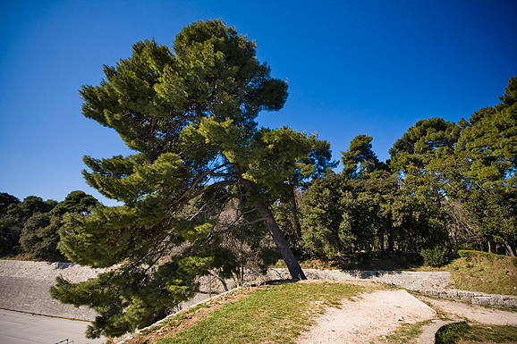 Đir zadarskim parkovima,27. veljače 2012. (foto:Saša Čuka)