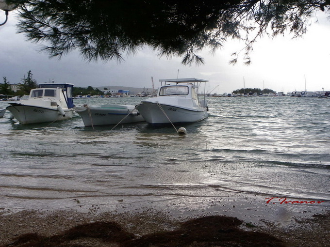 Plima u uvali Bregdetti, foto: T. Ivanov