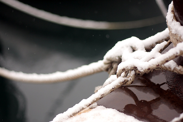 Snijeg u Zadru, 17. prosinca 2009, Foto: Saša Čuka