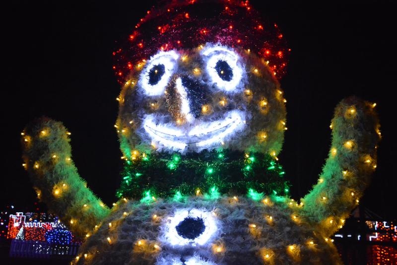 Dva milijuna lampica za božićnu čaroliju na imanju Salaj